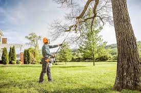 Best Tree Trimming and Pruning  in Ashland, NJ